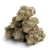 apple fritter strain