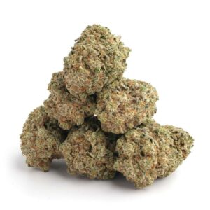 Gorilla Glue 4 Strain